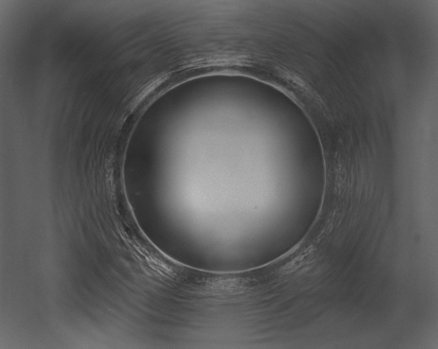 X0000053001162200507081226