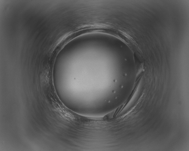 X0000053001163200507081226