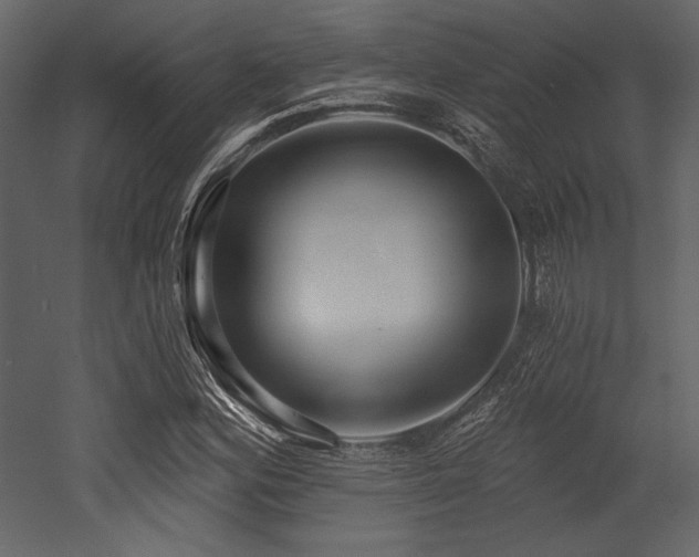 X0000053001164200507081226
