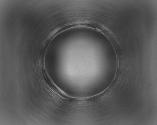 X0000053001169200507081225