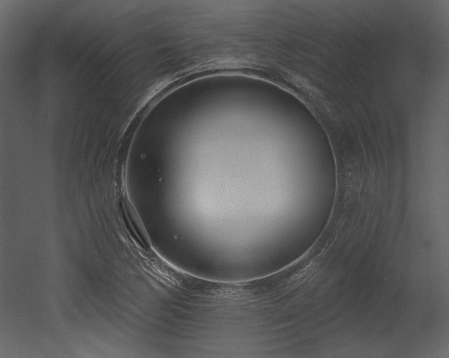 X0000053001170200507081225