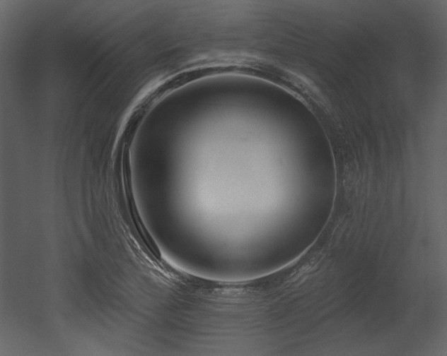 X0000053001172200507081225