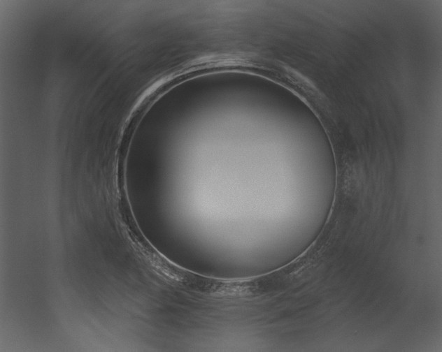 X0000053001174200507081225