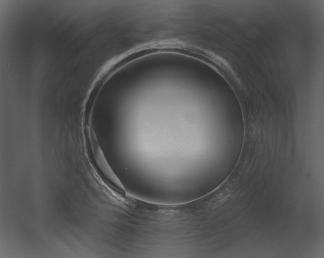 X0000053001176200507081225