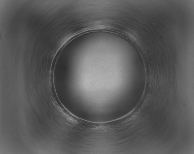 X0000053001178200507081225