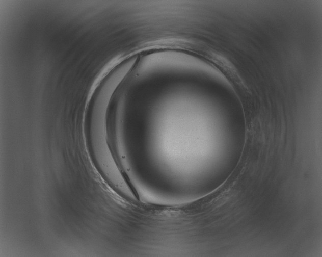 X0000053001180200507081225
