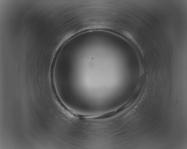 X0000053001181200507081225
