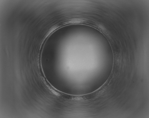 X0000053001186200507081225