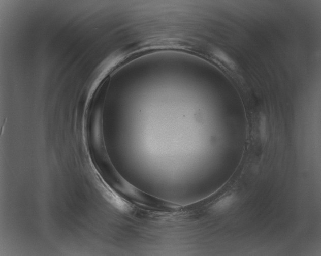 X0000053001188200507081225