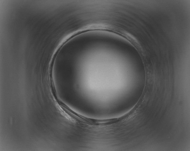 X0000053001192200507081225