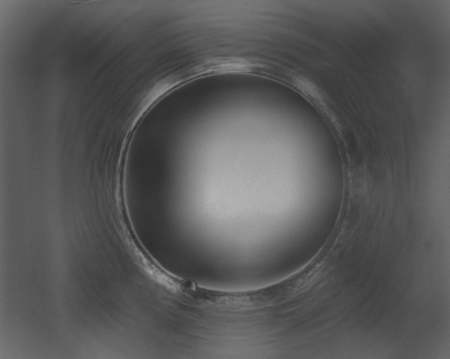 X0000053001194200507081225