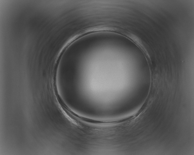 X0000053001197200507081225