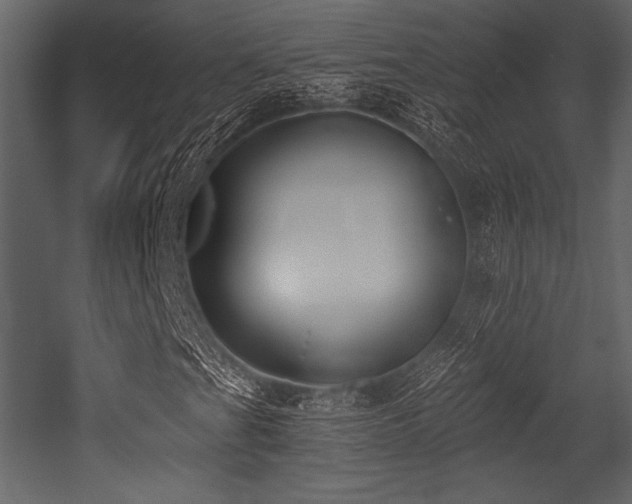 X0000053001201200507081224