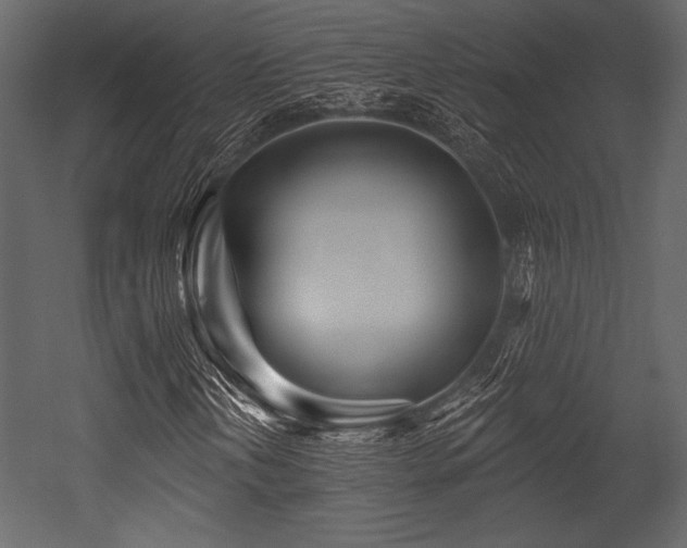 X0000053001202200507081224