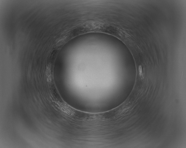 X0000053001203200507081224
