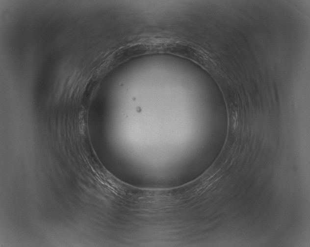 X0000053001204200507081224