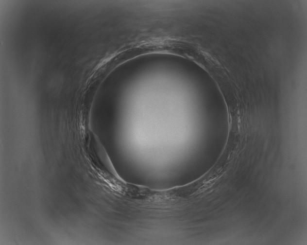 X0000053001206200507081224