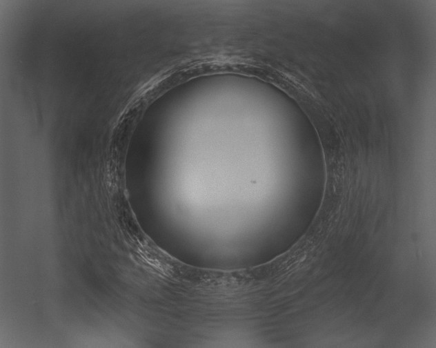 X0000053001207200507081224