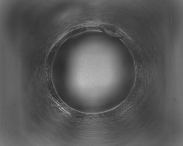 X0000053001208200507081224