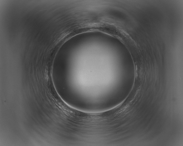 X0000053001209200507081224
