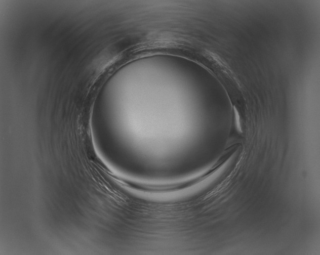 X0000053001210200507081224