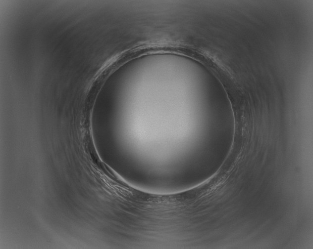 X0000053001213200507081224
