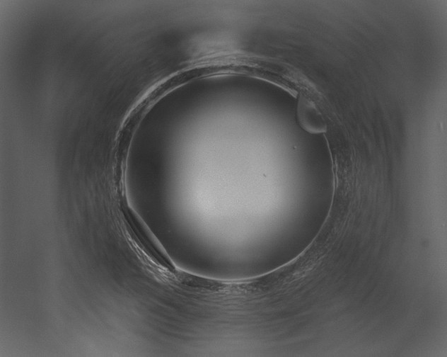 X0000053001216200507081224