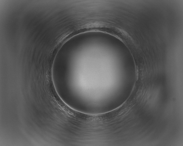 X0000053001217200507081224