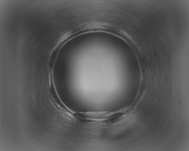 X0000053001219200507081224