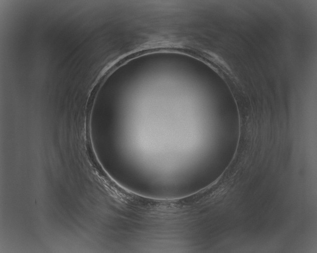 X0000053001220200507081224