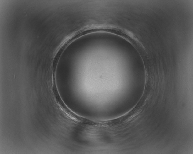 X0000053001221200507081224