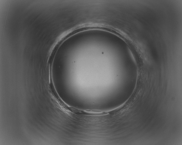 X0000053001223200507081225