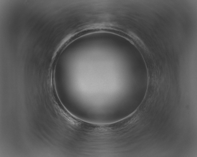 X0000053001224200507081225