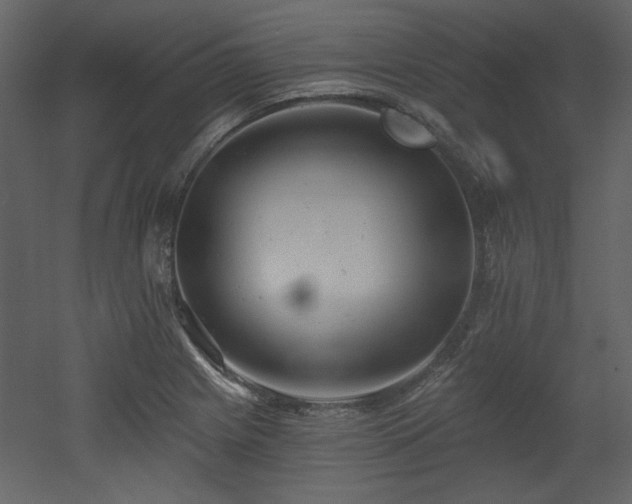 X0000053001225200507081225