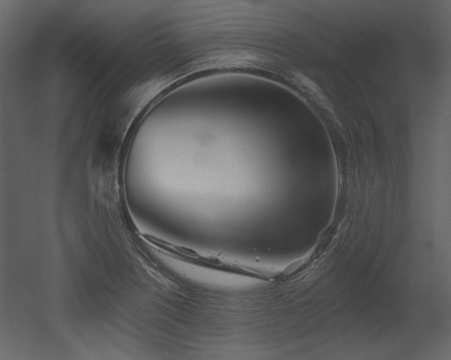 X0000053001226200507081225