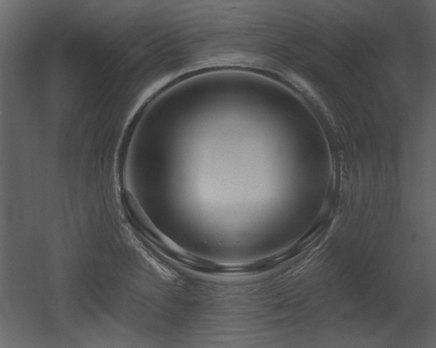 X0000053001230200507081225