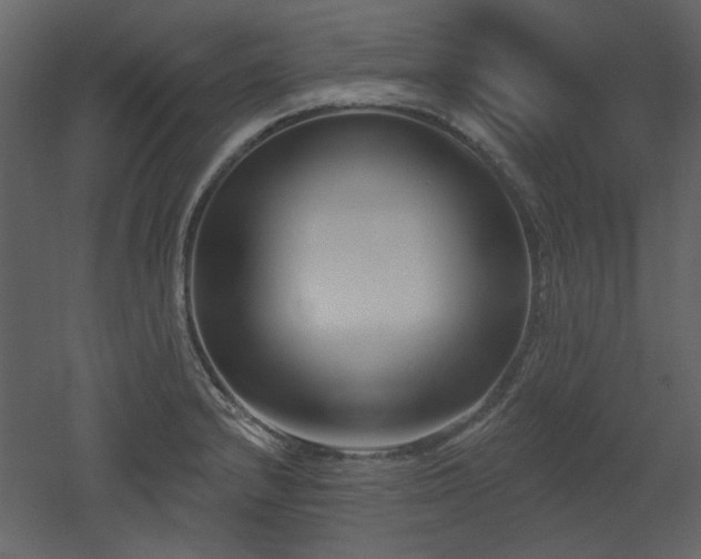 X0000053001232200507081225