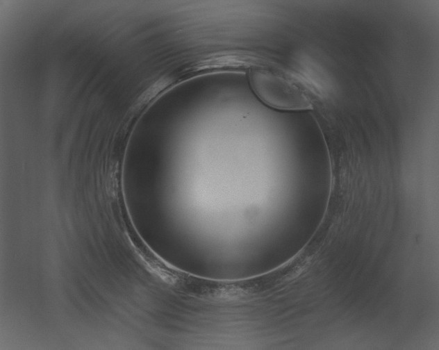 X0000053001233200507081225