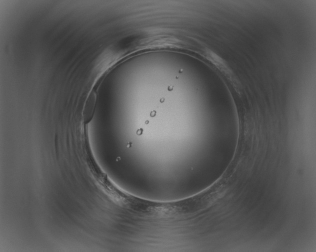 X0000053001234200507081225