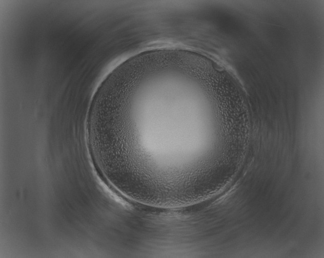 X0000053001239200507081225
