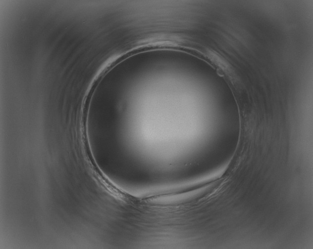 X0000053001240200507081225