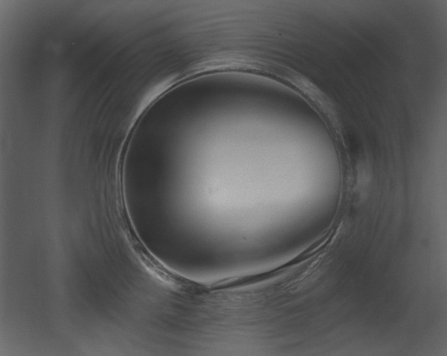 X0000053001242200507081225