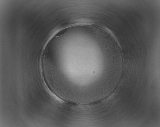 X0000053001243200507081225