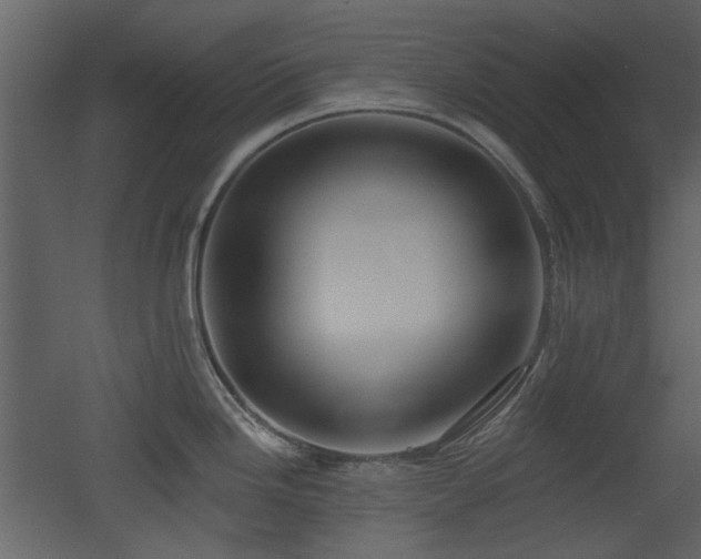 X0000053001246200507081225