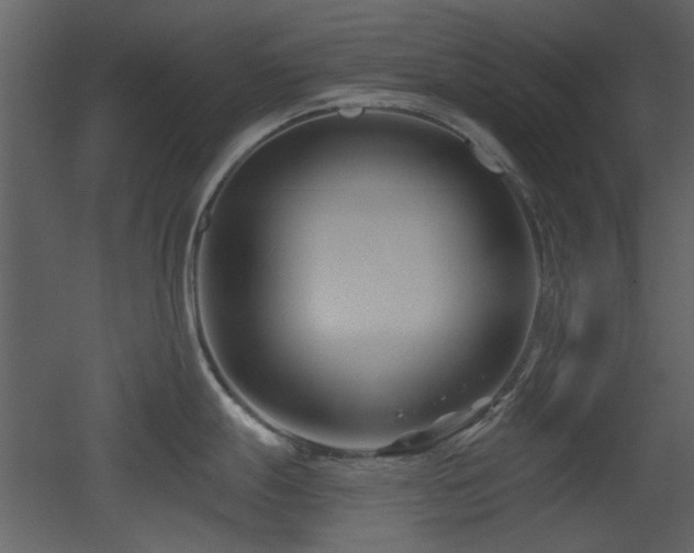 X0000053001247200507081225