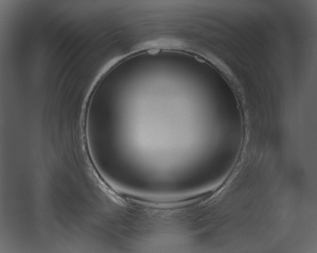 X0000053001248200507081225