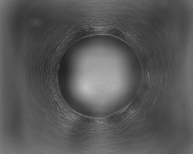 X0000053001249200507081224