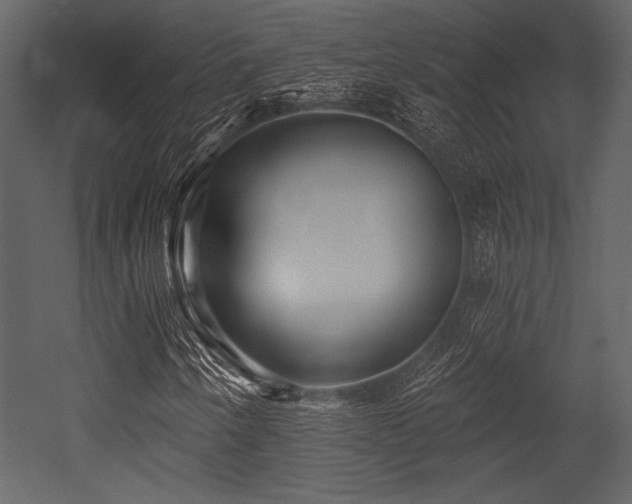 X0000053001250200507081224