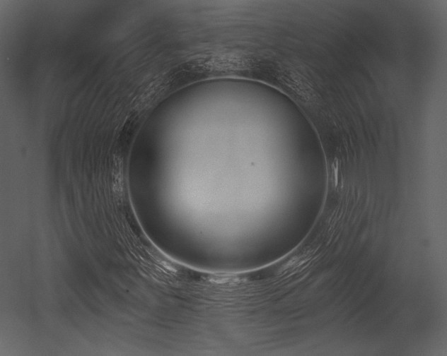 X0000053001251200507081224