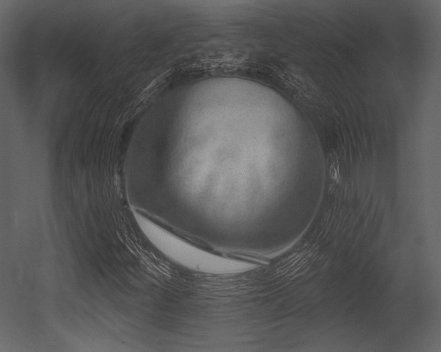 X0000053001252200507081224